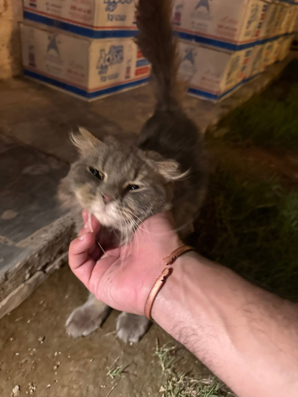 احد مضيعهه بحي الجامعه يم اسواق العاني قريب ع مجمع الايادي هيه نثيه مو فحل والي يريد يتبنها اني اجيبه اله بس اهم شي من بغداد


**إذا كنت صاحب هذا الإعلان وتريد حذفه لأي سبب، رجاءا أرسل رسالة إلى الدعم الفني**