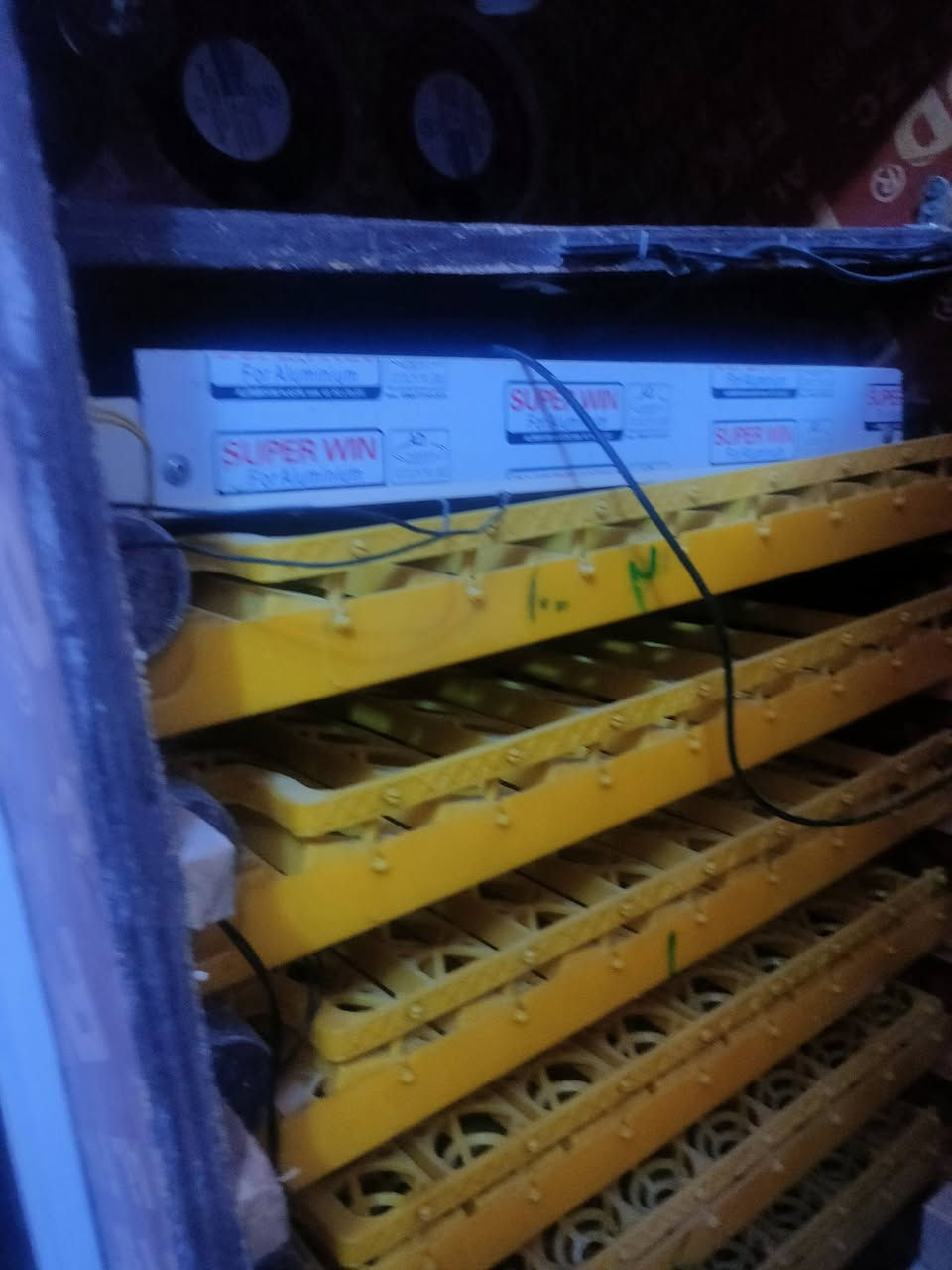 مفقس يلزم ٦٠٠بيضة كلشي مايحتاج جاهزة يحتوي على مراوح وقلابة البيض كله اوتوماتيك السع ٣٥٠وبيه مجال ***********
