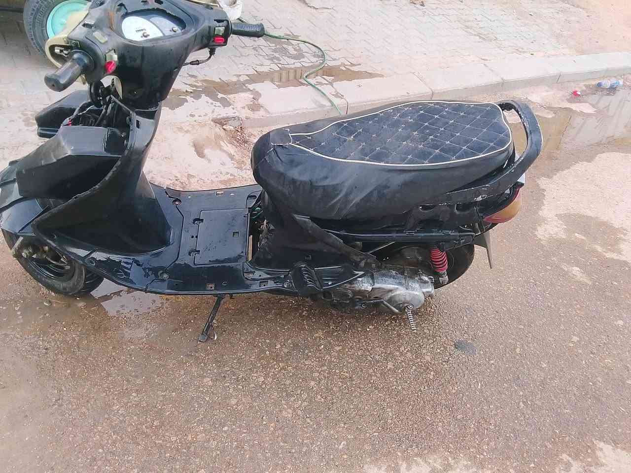 فراشه فحل نكره وحده كفراتهة موجوده ابيع كوم حديد السعر 150 نجف موجود خاص


**إذا كنت صاحب هذا الإعلان وتريد حذفه لأي سبب، رجاءا أرسل رسالة إلى الدعم الفني**