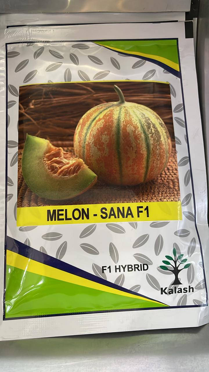 🍉 أجود أنواع بذور الرقي والبطيخ الهجين F1 متوفرة الآن! 🍈
​📋 الأصناف المتوفرة لدينا:
​🍉 رقي Crimson Sweet F1 (شركة Kalash و Veggie Seeds)
​🍉 رقي Ghalina F1 (شركة Syngenta الشهيرة)
​🍈 بطيخ Sana F1 (شركة Kalash و Rooty و Veggie Seeds)
​🍈 بطيخ Joyce F1 (شركة Bio Verde)
​🍈 بطيخ Muna F1 (شركة Veggie Seeds)
​✨ لماذا تختار بذورنا؟
​نسبة إنبات عالية: تتجاوز 90% إلى 95% لنمو متناسق وقوي.
​ثمار ممتازة: حجم وشكل مثالي للسوق، وطعم شديد الحلاوة.
​مقاومة عالية: هجين مطور لمقاومة الأمراض والظروف الجوية الصعبة.
​📦 الكميات محدودة جداً! اضمن نجاح محصولك واحجز الآن.
​📞 للطلب والاستفسار:
​💬 واتساب: ***********
​📞 اتصال: ***********
