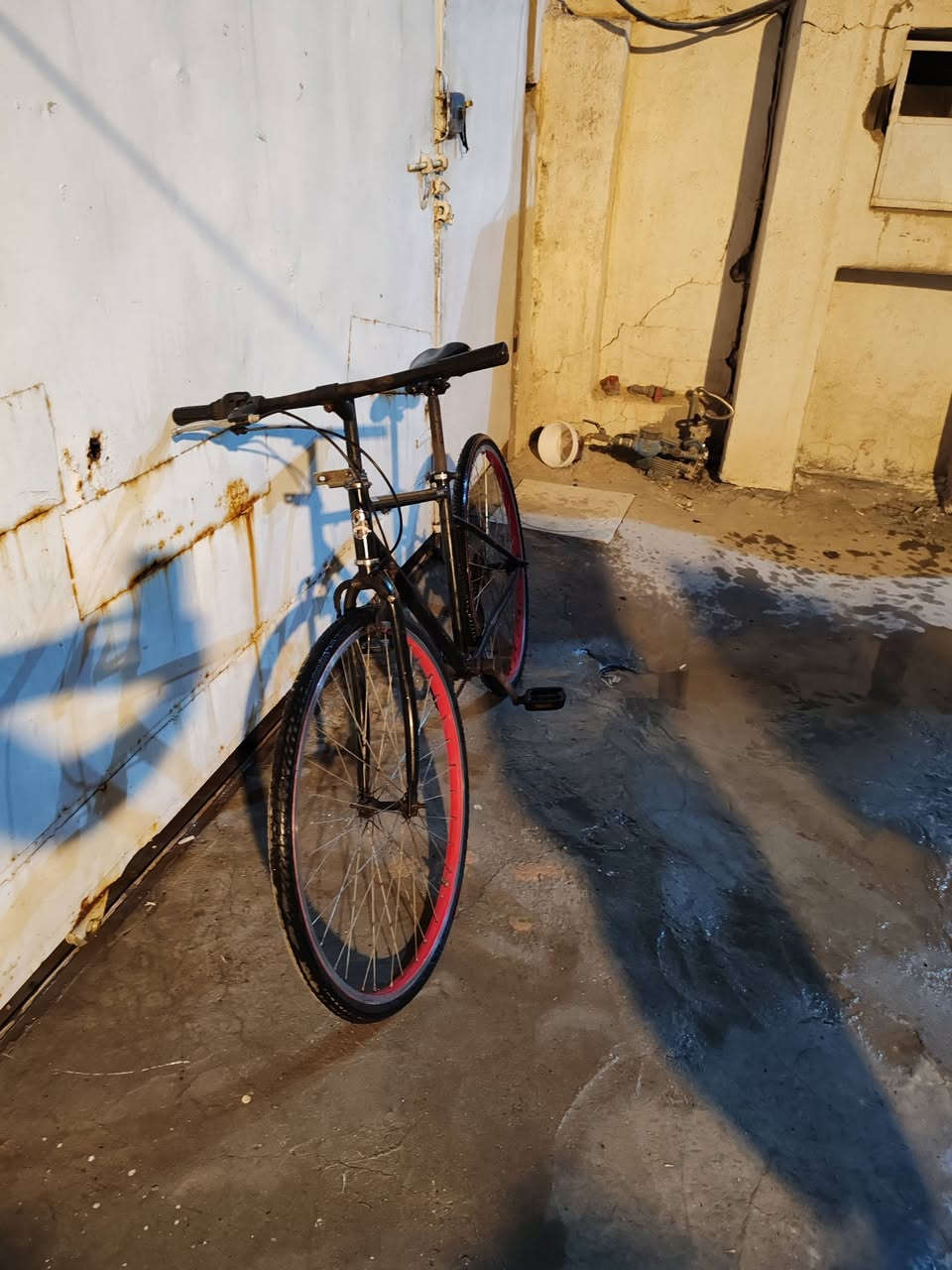 بيع او مراوس بغداد
***********

