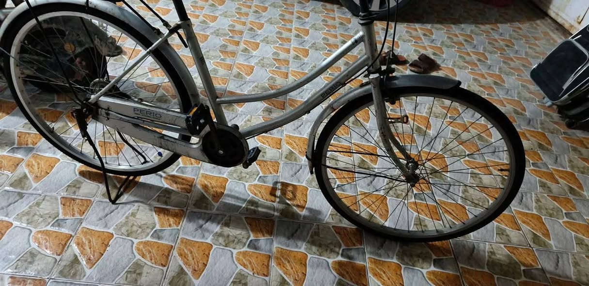 باسكل للبيع نضيف تايراته جدد زنجيل مايخرط البايسكل حلو ونضيف البايسكل بي سنجار قليل كلش عوزه ترتيب قليل كلش سعر البايسكل 45وبي مجال ...العنوان/الديوانية الجمعية قرب جامع أهل البيت المراسله ع هاذا الحساب


**إذا كنت صاحب هذا الإعلان وتريد حذفه لأي سبب، رجاءا أرسل رسالة إلى الدعم الفني**