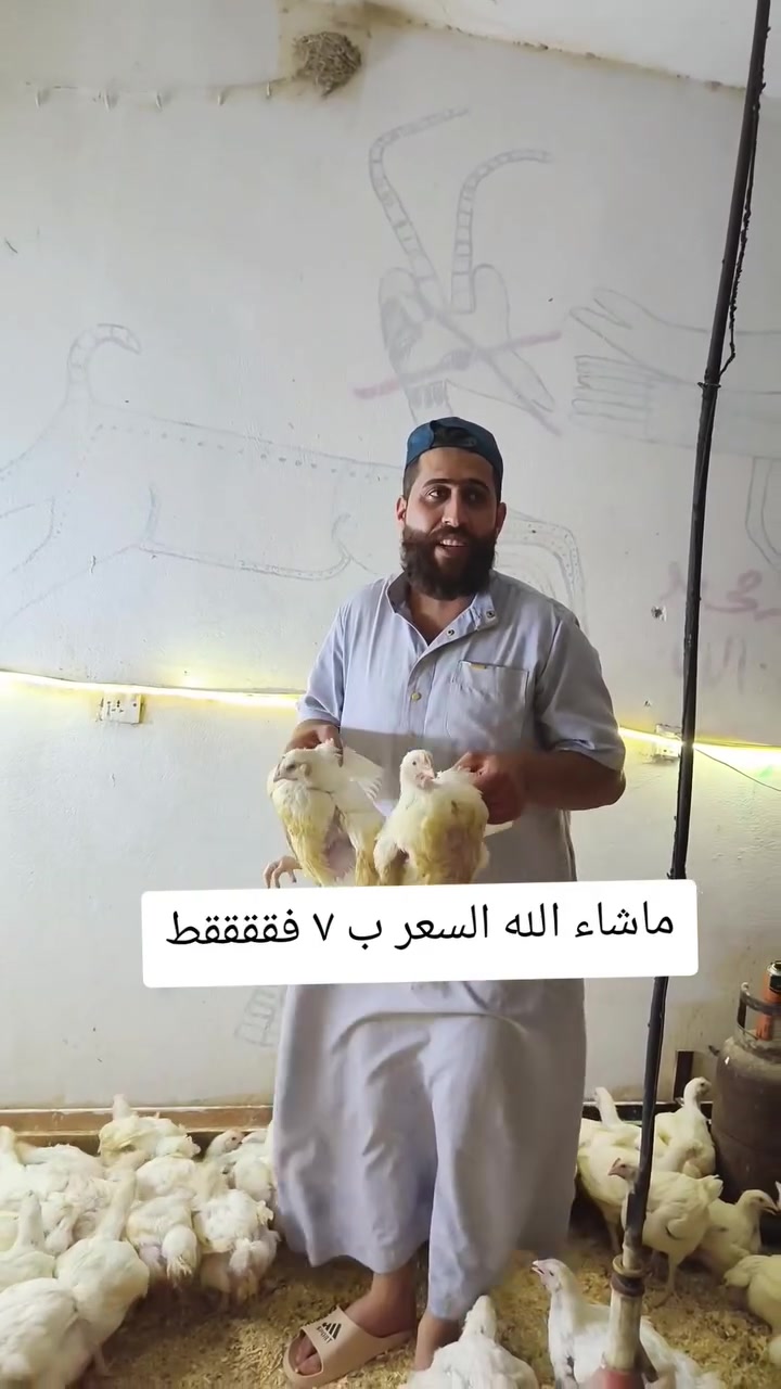 اللهم صلي على محمد وآل محمد
دجاجنا عراقي رقم واحد #السعر ب 7
العنوان بهرز نزلة علي الهادي  ***********
