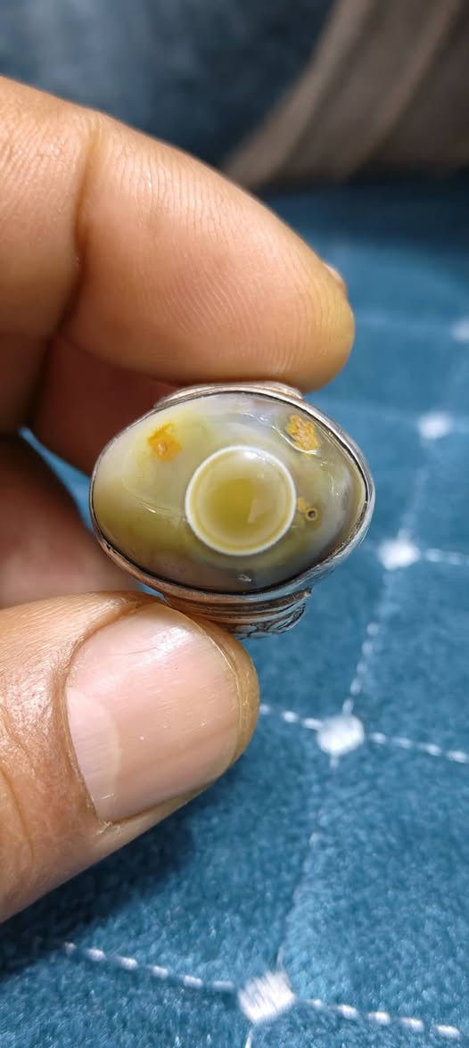 سليماني زيتوني قديم
***********
