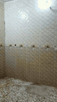 حي وفاء • ٥٠م • غرفة وصالة