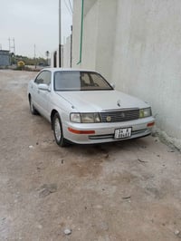 صبغ جمالي • عطل گير • شط العرب