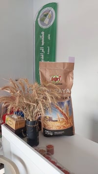 استشارة زراعية مجانية • كشف ميداني • كركوك طوبزاوه