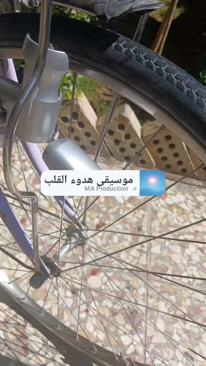 برجسون حجم ٢٦ بناتي
تاير ضد البنجر جوب جديد

كير ثلاث نمر 

لون زاهي 

بالة ياباني تكمة السعر ١٢٥ وبيه مجال 

مكانه ابو دشير


**إذا كنت صاحب هذا الإعلان وتريد حذفه لأي سبب، رجاءا أرسل رسالة إلى الدعم الفني**