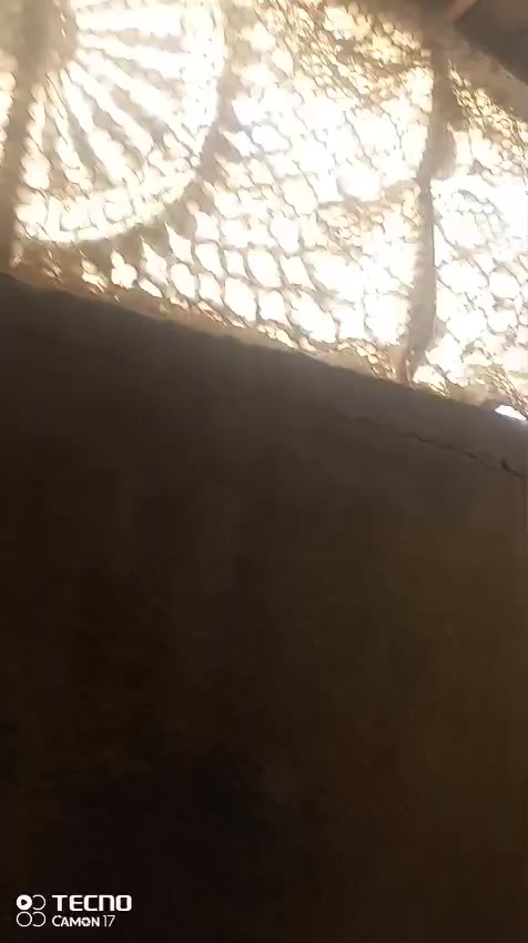 دار للبيع المساحه 200 متر طابو صرف المعامل الباوية شارع المستوصف الجبهة 10والنزال 20 متر يحتوي على غرفتين نوم واستقبال وصاله ومطبخ وحمام داخلي وخارجي وصحيات داخلية وخارجية ومناور وترك خلفي الاتصال على الرقم التالي ***********او ***********
