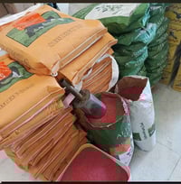 بذور جت تركيه عاليه الجوده درجه اولى تدوم لاكثر من 4 سنوات ارتفاع جيد ...