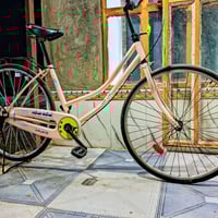 بيسكل • سعر خاص • للشباب