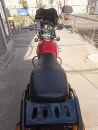 بوكسر 2023 • بدون أوراق • مكينة بلادي