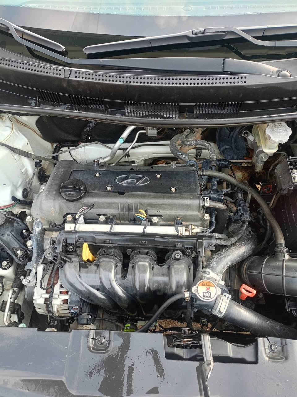 السلام عليكم
سيارة اكسنت موديل 16 فول مواصفات مكينة 1600 خليجي السيارة نظيفة جدا
السعر 110 رقم واسط 
الاتصال ***********
