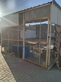سقيفه • ٣×٤م