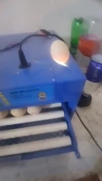 متاح فقاسة فول اتماتيك تفقيس نسبة 99% خير من الله جودة عالميه. سعة فوك...