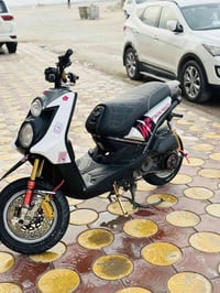 دراجة سكنس • بوشته بلدية • معدل فول