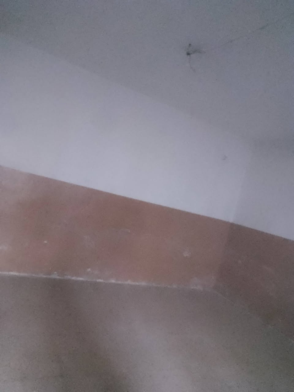 بيت للبيع 100 متر حي الكرامه فرع الحمامات 
تسليم مفتاح مباشر البيت فارغ سعر 65 
***********
