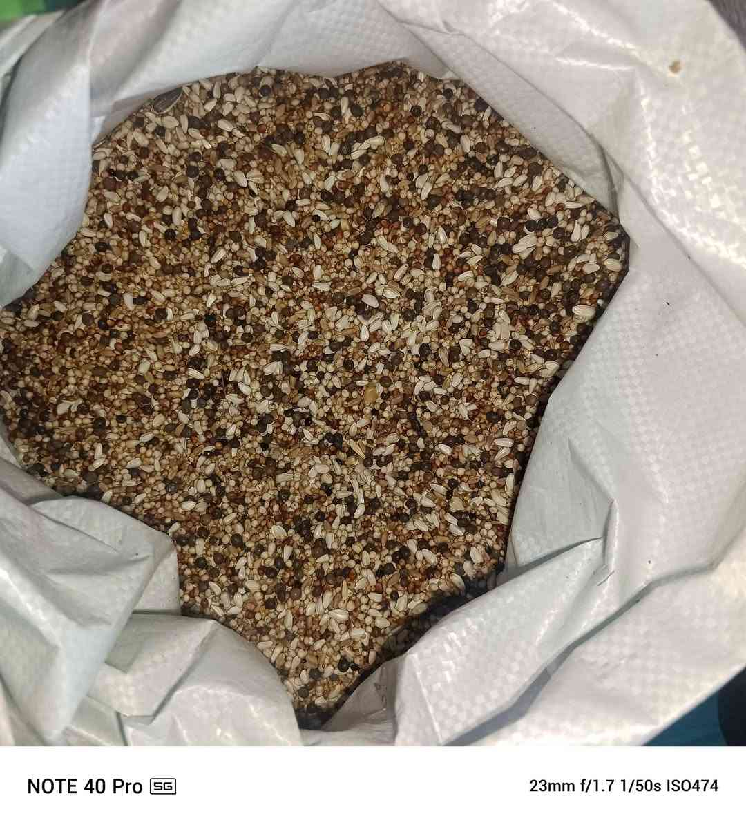 علا بركة الله تم افتتاح محلات ابو فلاح لبيع الاعلاف 
الطيور بانواعه 
و اعلاف المواشي 
باسعار مناسبه 
باداره حسن /***********
العنوان النصر المدخل الاول مجاور صدام ابو الدجاج
