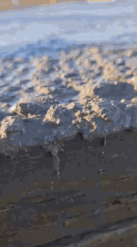 نجاره وتسليح كرسته وعمل او بس عمل كلشي نشتغل  في ميسان ومن الله التوفيق
 ***********وتساب فقط
