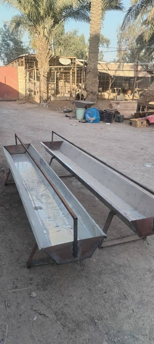 السلام عليكم اخوتي الجنايه اخوتي مربين الحلال يوجد لدينا معالف للبيع طول المعلف 2.5متر حديد المعلف جديد ومغلون كما يظهر في الصور المعروضه (يوجد توصل )
المكان محافضه بابل المسيب 
لتواصل ***********
السلام عليكم اخوتي الجنايه اخوتي مربين الحلال يوجد لدينا معالف للبيع طول المعلف 2.5متر حديد المعلف جديد ومغلون كما يظهر في الصور المعروضه (يوجد توصيل )
