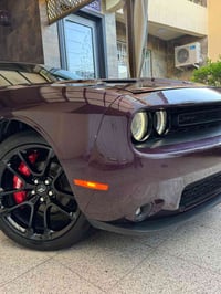 تخم ويل اصلي • نظيف • مراوس بنجمة