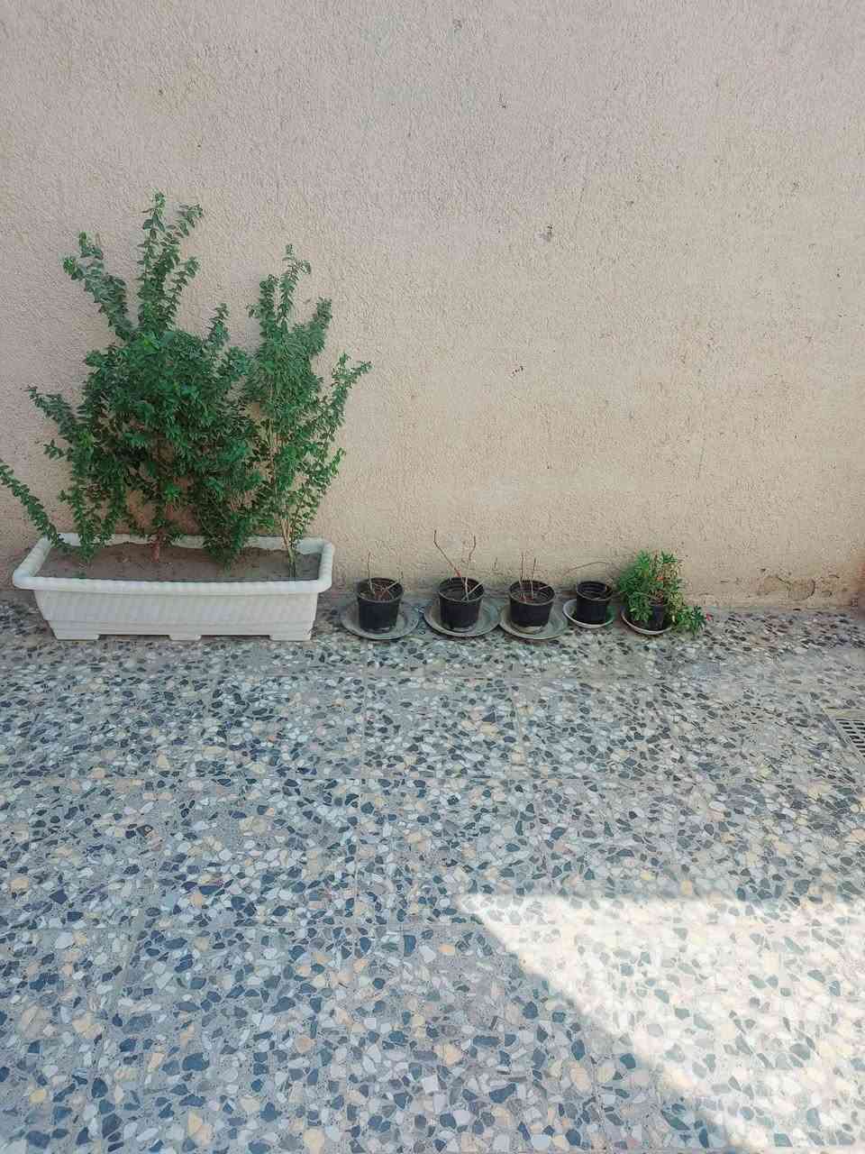 بسم الله الرحمَن الرحيم بيت ١٠٠متر ٥×٢٠ مصفر صب مسلح جديد غرفة نوم وصاله واستقبال وحوش وحمام داخلي والسطح مزفت والبيتونة صب مسلح ومزفتة بغداد حي البتول للبيع السعر< ٦٥ >مليون مجال بسيط جدا للاتصال *********** مكلف بالنشر غير متواجد عالفيس اللي يعجبة يتصل مع تحياتي.
