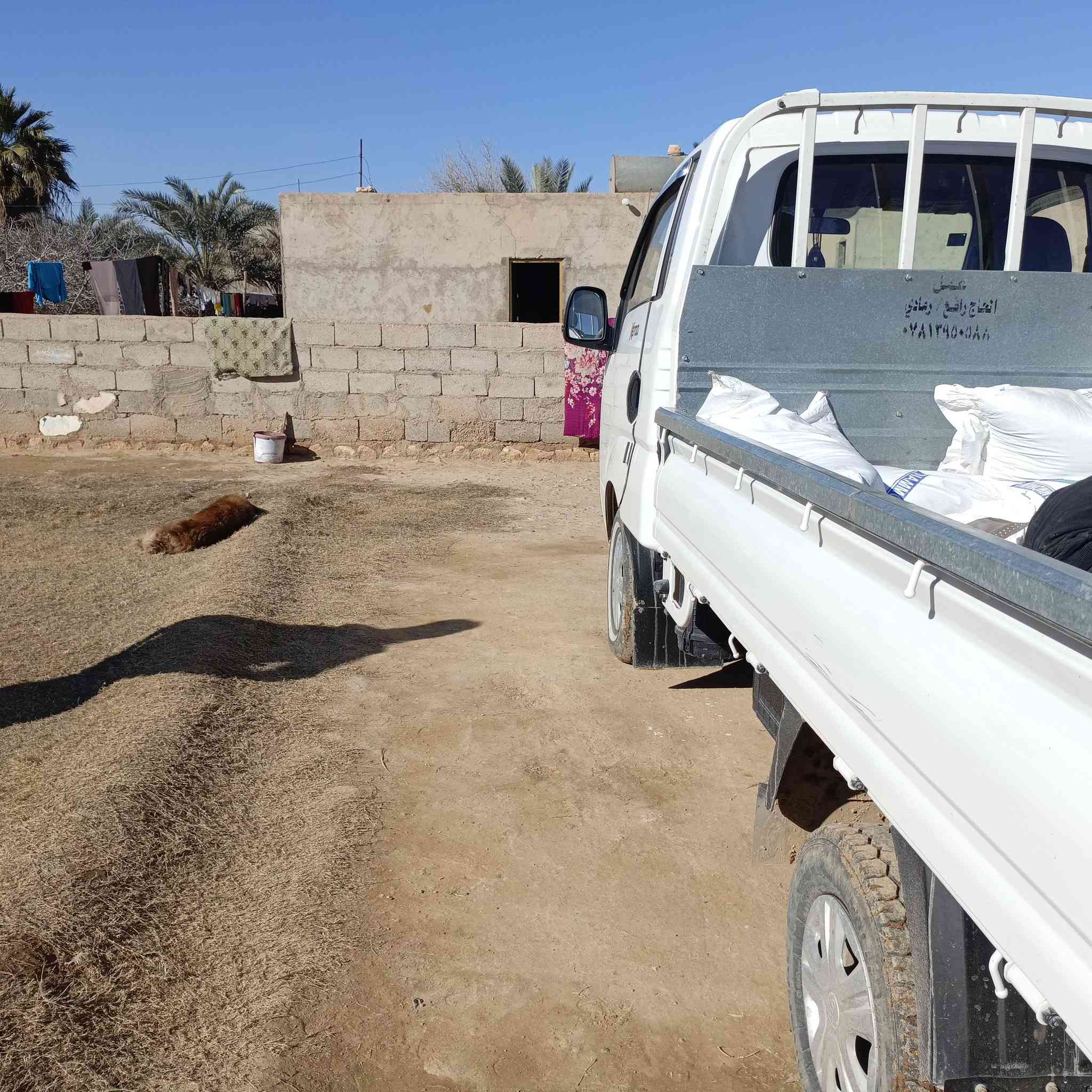 كيا 2020الشكل الجديد لبيع مكفوله شاصي والصبغ  ***********
