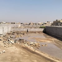قطعة زراعية للبيع • ارض زراعية التقية • سند 25 للبيع • ارض 250 متر • ا...