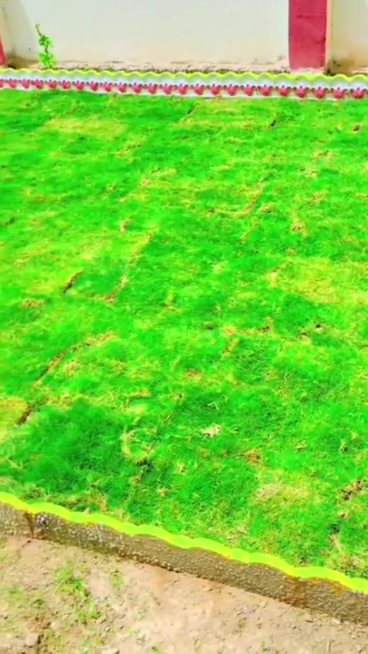 🌿✨ مشتل الرافدين للثيل  الطبيعي– خبرة تزرع الثقة، وشغل يشرح القلب ✨🌿

مش أي خضرة تبهر العين...
الخضرة الحقيقية هي اللي وراها إيد خبيرة وشغل متقن 💪

مع زراعه الثيل الهندي في العراق  بنحوّل أي مساحة لحلم أخضر:
💧 شبكات ري حديثة بتصميم ذكي وتوفير في المياه
🌱 ثيل طبيعي ونخيل وأشجار فاكهة وزينة بجميع الأنواع
🌳 تنسيق وصيانة حدائق المنازل والفيلات والمشروعات الكبرى
🌾 أسمدة ومبيدات مضمونة النتيجة

🌸 من أول الغرس... لحدّ آخر لمسة، الجودة عنواننا.
📍 ثيل طبيعي – خضرة تدوم، وشكل يليق بيك 🌴
👇 اوتواصل معنا من خلال رسائل الصفحةاو واتساب 
***********
