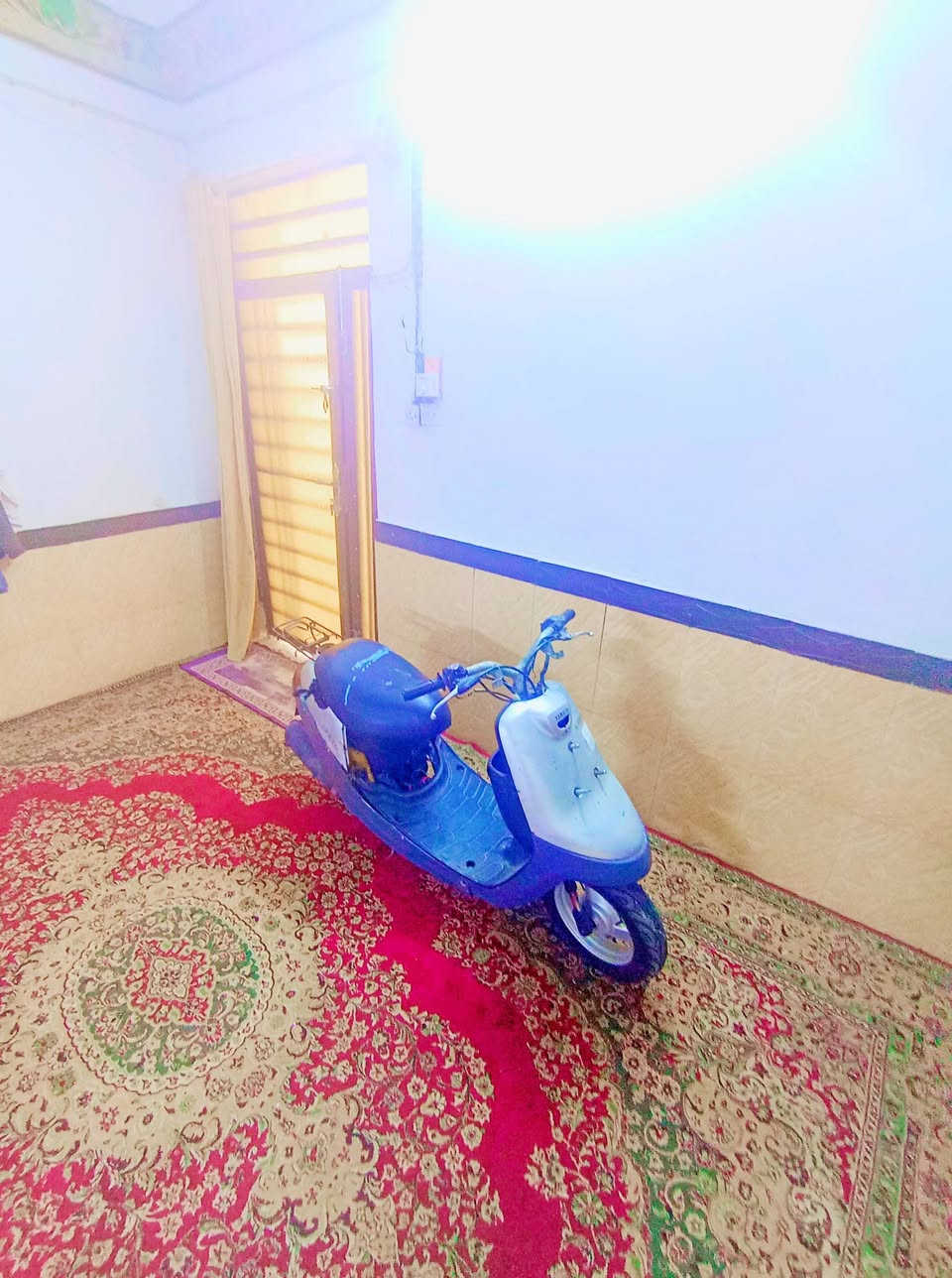 سلام عليكم
دراجه بطه للبيع او مروس 
دراجه بلاديه وحلوه 
كفرات بلادي ياباني 
شلعه معدل 
محرك ما مفتوح 
شاصي مكفول 
غراضه موجوده 
كهربائيه سلف شغال 
بس مابيه باتري تشتغل هندر بس اذا تعوفه ما تشغله تكوم اتخر بل تشغيل عله ما تصعد بانزين واذا كلساع تشغله 
تكوم تشتغل هندر واحد 
مكاني نجف الاشرف حي المكرمه عمود 1 
للاستفسار 
***********
