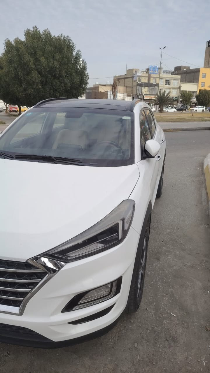 توسان فول الكاصد 2019  مكانه كربلاء *********** مكفوله
