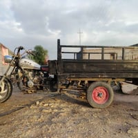 ستوته • سنويه • مكفوله