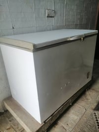 مجمدة • نضيفه • للبيع