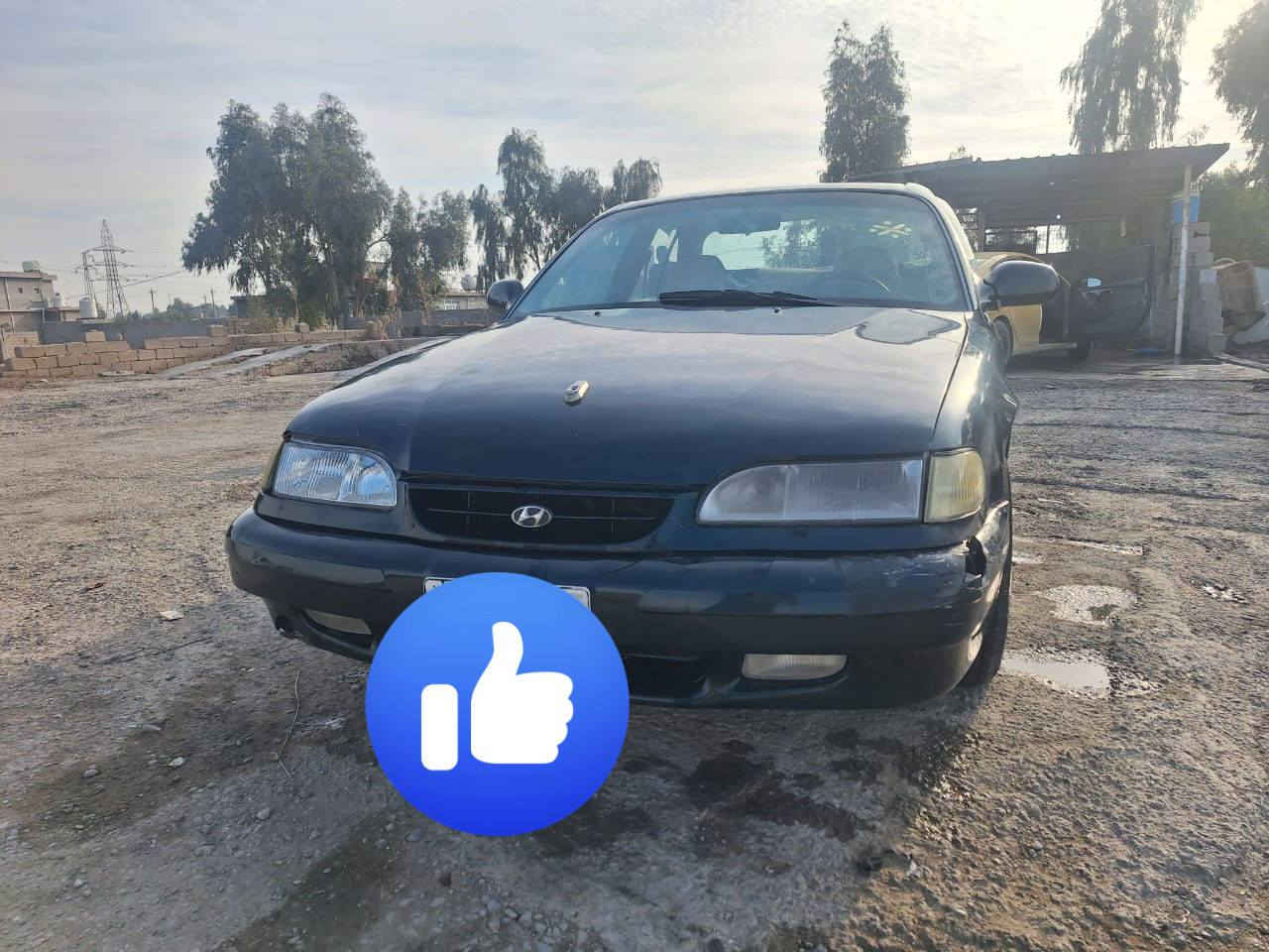 السلام عليكم
سوناتا
موديل ٩٦
رقم بغداد
سنويه ساقطه صار شهر
تحويل ثاني يوم
سياره مكفول من ضربه
مصبوغه حزام
كير محرك مكفولات
تبريد تدفئة شغال
السعر ٤٤ وبي مجال
للاتصال ***********
***********
مكان سياره ديالى كنعان
