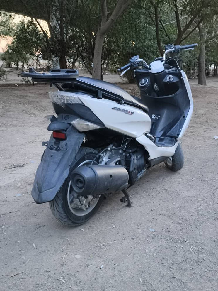 السلام عليكم
‏ماجستا S للبيع (رمبه) (رمبه) (رمبه) 
‏جديده جيب وياك 1000 فيتر وتعال
‏ افحص اذا برغي مفتوح بيها تاخذها 
‏ابلاش مستعجل على بيعتها صار عندي
‏ ظرف واريد ابيع كفاله عامه لحد يسألني
‏ شبيها نكره بكل وقت موديل 2017 
‏صوتها يغبل كلش ناعم استان 
‏حساس شاشه كلها شغاله ام الرون 
‏مكاني بالغزاليه
‏سعرها 900 وبيها مجال 
‏رقمي ***********
‏ بغداد, العراق
