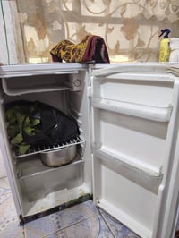 شغاله ثلج بسعر مناسب 07813558999