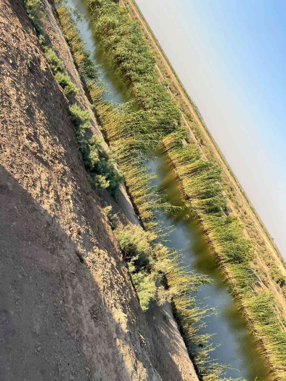 السلام عليكم ارض زراعيه المساحه 30 دونم طابو سند 25 تحويل مباشر حصه مائيه صيف شتا شرط سقي سيح اروائي صب سقاطات مبزله وجاهزه حاليا مزروعه دخن تبعد عن التبليط والمدارس والمستوصف 2 كيلو شارع سبيس وتبعد عن مركز المدينه 10 دقايق المكان الصويره بدعه حمد سعر الدونم 5 ملايين وبيها مجال ***********
