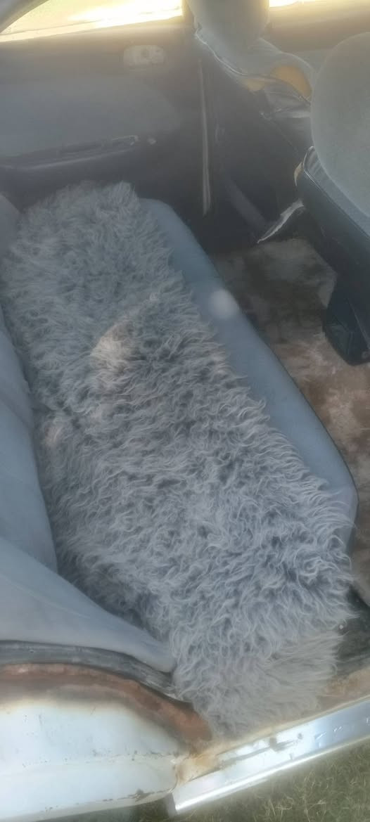 سلام عليكم سياره سيفيه موديل 94 مكفوله كير ومكينه عنوان بابل اليحب يتصل***********
