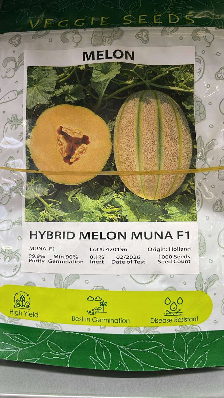 🍉 أجود أنواع بذور الرقي والبطيخ الهجين F1 متوفرة الآن! 🍈
​📋 الأصناف المتوفرة لدينا:
​🍉 رقي Crimson Sweet F1 (شركة Kalash و Veggie Seeds)
​🍉 رقي Ghalina F1 (شركة Syngenta الشهيرة)
​🍈 بطيخ Sana F1 (شركة Kalash و Rooty و Veggie Seeds)
​🍈 بطيخ Joyce F1 (شركة Bio Verde)
​🍈 بطيخ Muna F1 (شركة Veggie Seeds)
​✨ لماذا تختار بذورنا؟
​نسبة إنبات عالية: تتجاوز 90% إلى 95% لنمو متناسق وقوي.
​ثمار ممتازة: حجم وشكل مثالي للسوق، وطعم شديد الحلاوة.
​مقاومة عالية: هجين مطور لمقاومة الأمراض والظروف الجوية الصعبة.
​📦 الكميات محدودة جداً! اضمن نجاح محصولك واحجز الآن.
​📞 للطلب والاستفسار:
​💬 واتساب: ***********
​📞 اتصال: ***********
