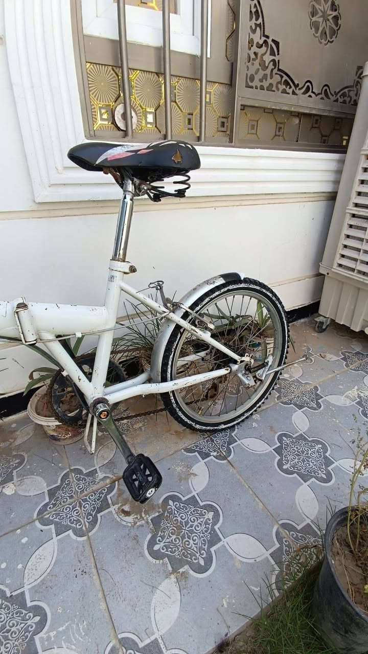سلام عليكم بايسكل اليطبك للبيع عاوزه فقط كشن بي شكوك مثل مموضح بلصوره نضيف العنوان سامراء الدوانم السعر 55 بي مجال قليل


**إذا كنت صاحب هذا الإعلان وتريد حذفه لأي سبب، رجاءا أرسل رسالة إلى الدعم الفني**