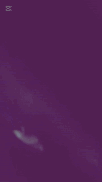 تو برو • مكينة 200 • منصورية الجبل