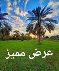 سلمان باك • ١٥٠م • طابو ملك صرف