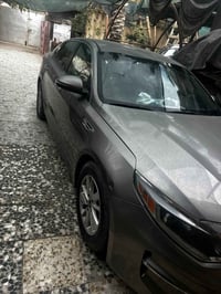 تفاصيل • داخل • المشور