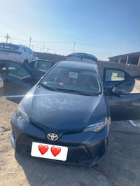 كورلا • ٢٠١٧ • رقم سليمانيه