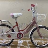 پاسکیل • ٢٠ اينچ • سوور