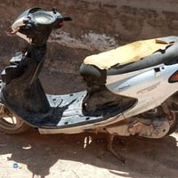 دولفين • شغاله • سلف