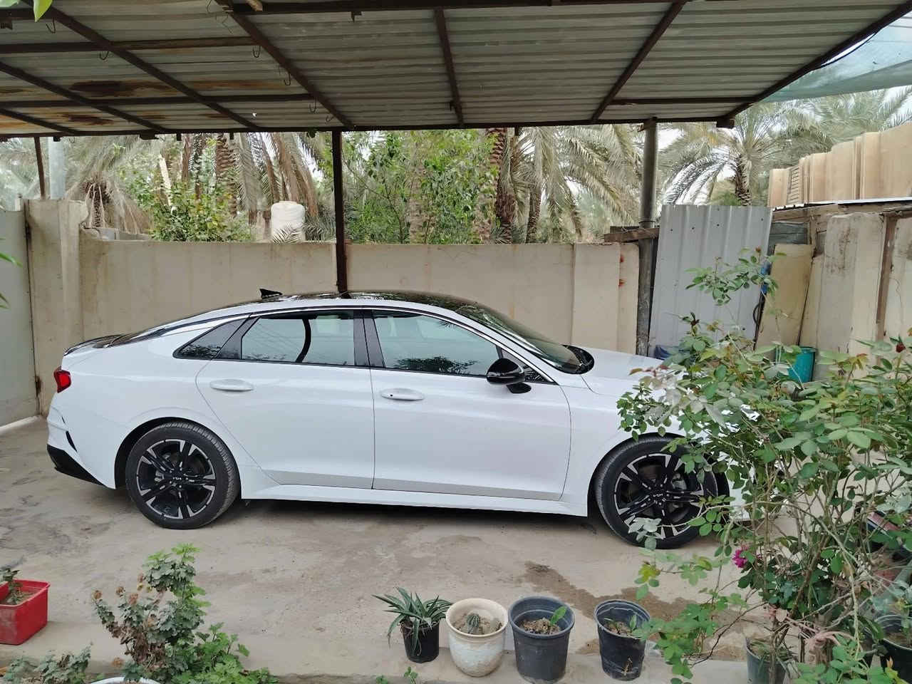 السلام عليكم
كي فايف موديل 2022 فول مواصفات جي تي مكينه 1600 تيربو،،، ماشيه 50،،،معوقين بابل باقي سنتين ونص تصير حره،،، الرجل المعاق موجود اخذك عليه،،، السياره بدون صبغ وبدون تبديل وبدون معجون وبدون حته تكحيل حادثها كله راجع بارد السعر 163
رقم صاحب السياره ***********
