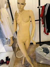 بغداد 07740306040