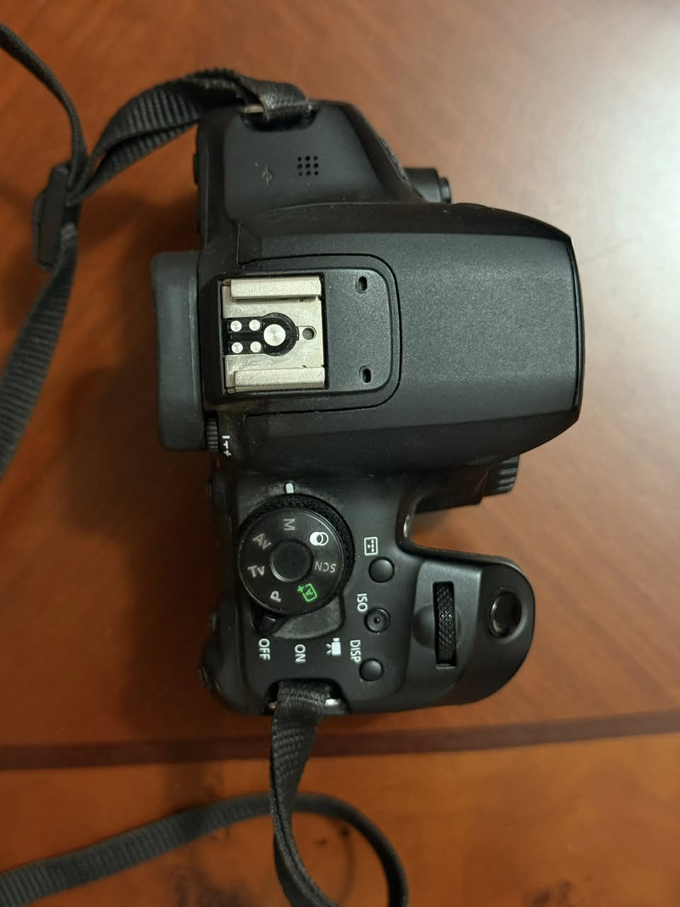 للبيع ✨

كاميرة Canon 850d
+ عدستها الاصلية 18-55
+عدسة Sigma 85mm f 1.4 
+بطارية اضافية
غراض نظيفة و كاملة كلها احزمة كتلوك كلشي كامل و نظيف و استخدام شخصي  
السعر مليون و 550 و بي مجال بسيط 
مكاني بابل /حلة


**إذا كنت صاحب هذا الإعلان وتريد حذفه لأي سبب، رجاءا أرسل رسالة إلى الدعم الفني**