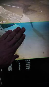 كاميرا • الشطرة الحولي